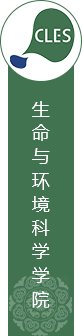 除了保留啦啦操常规动作